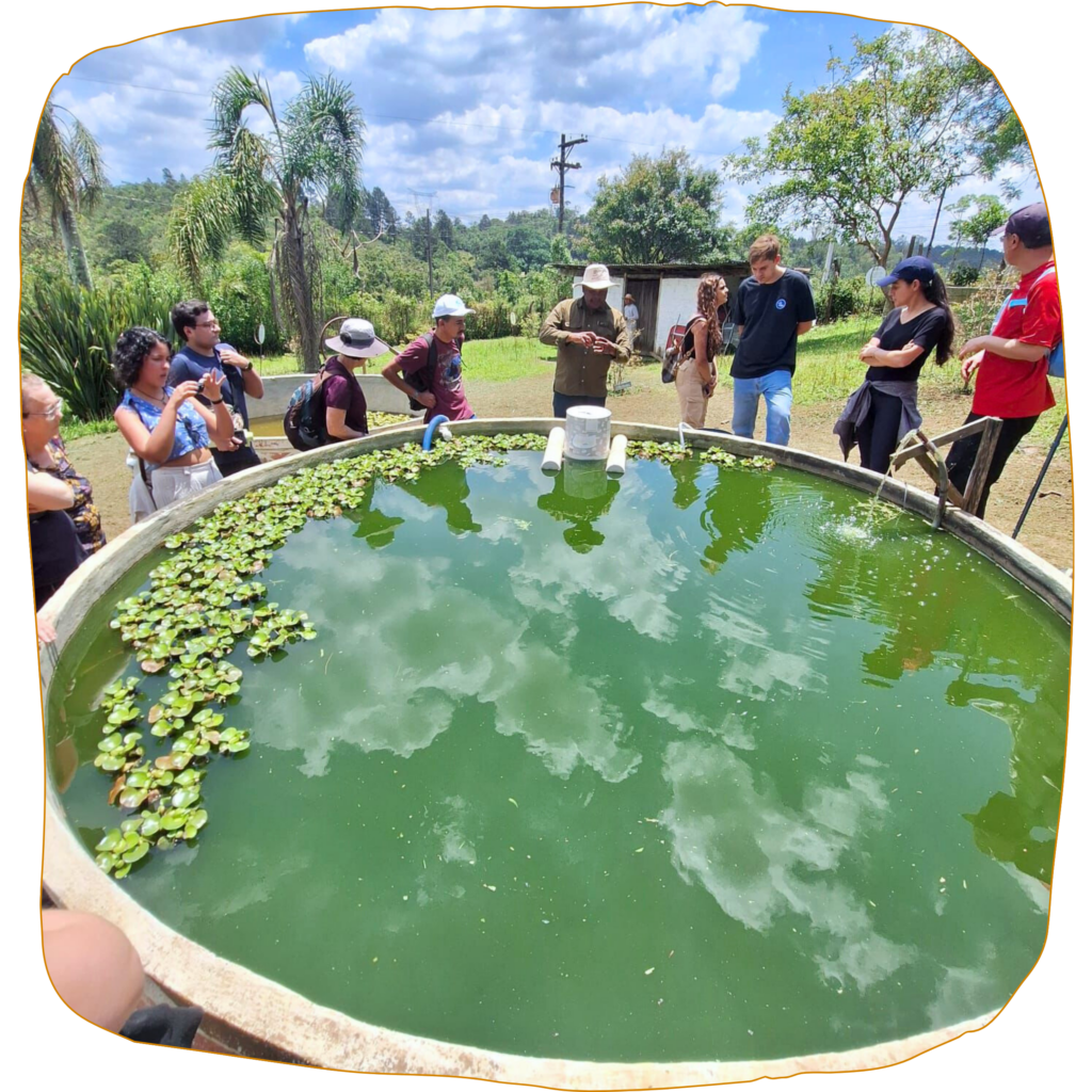 Sítio Maravilha São Paulo recebeu a primeira turma do 6º ano da EMEF Levy de Azevedo Sodré