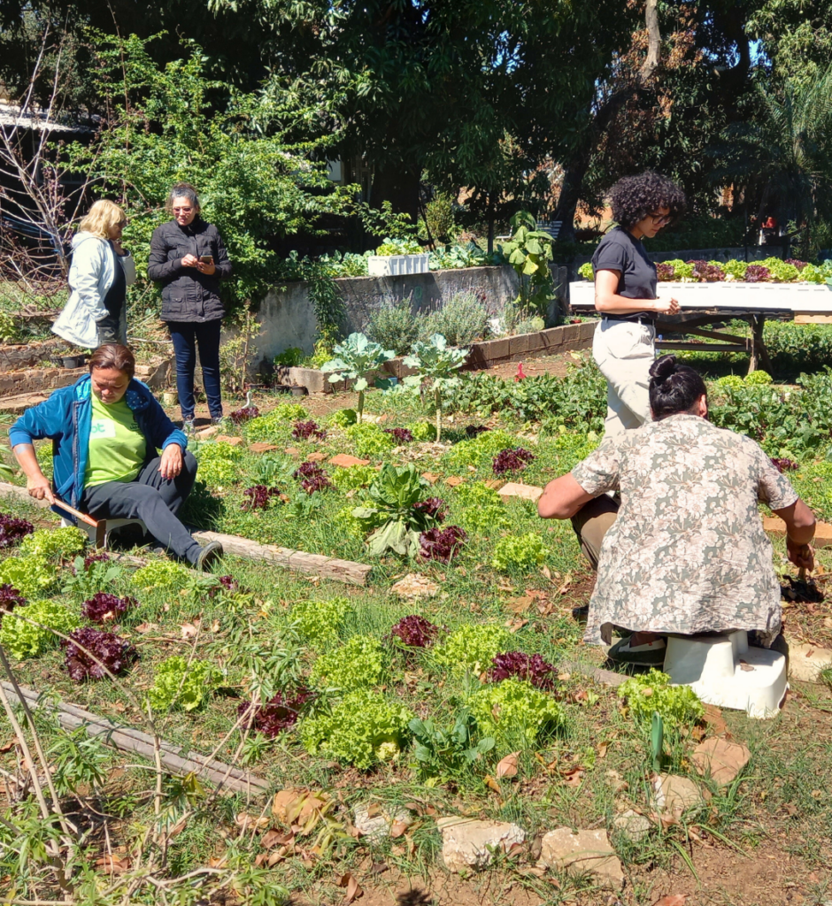 Tecnologia Social do CPCD é reconhecida pela 13ª edição do Prêmio Fundação Banco do Brasil de Tecnologia Social